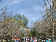 -长白岛森林公园