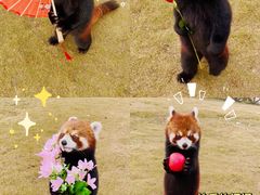 -乐和乐都主题乐园