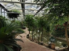 -嬉乐湾休闲旅游区