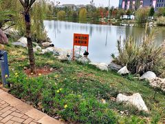 -云南艺术学院(呈贡校区)