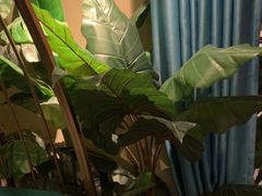 -泰谷玲抓龙筋SPA·泰式按摩(五一广场店)
