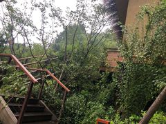 -杭州开元森泊度假乐园