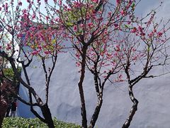 -乌山风景区