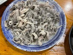 羊散丹-金生隆(六铺炕店)