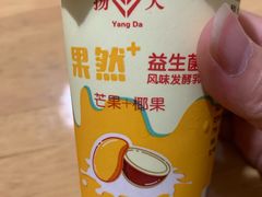 扬大酸奶-扬大康源乳业鲜奶吧(大学北路店)