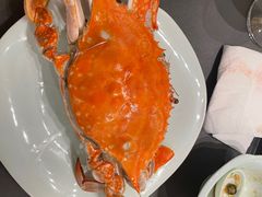 -浩运·海鲜青岛菜·海胆水饺(石老人店)
