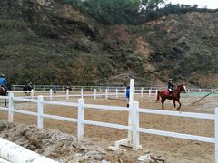 -枫露马术学院(藏书校区)