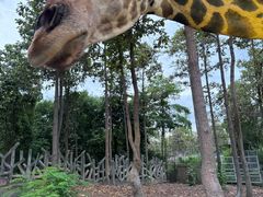 -清迈夜间动物园