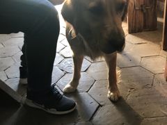 -浔岚云舍mist静谧观景美宿(丽江古城店)