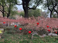 -申粤轩酒楼·三十年粤菜经典(丁香花园店)