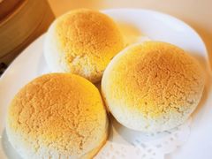 雪顶雄峰-利苑酒家(金宝店)