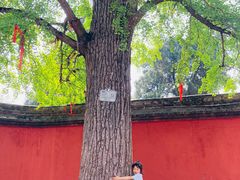 -金堂县云顶石城风景区