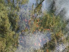 -水磨沟公园