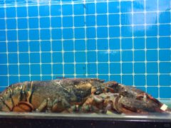 -醉壹号海鲜大排档(厦门美食地标店)