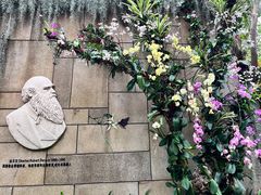 -中国科学院西双版纳热带植物园