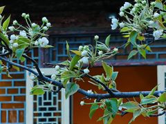 -潭柘寺景区