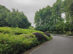 -绍兴镜湖国家城市湿地公园
