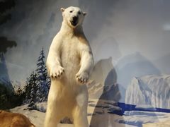 -陕西自然博物馆