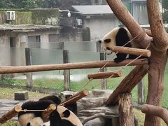 -重庆动物园·东二门售票处