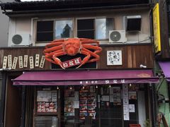 -城崎温泉 外七汤