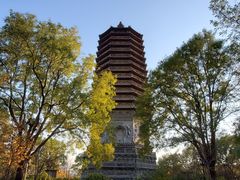 -玲珑塔公园