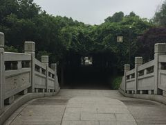 -白马涧龙池景区