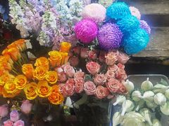 -循礼门鲜花花市(武汉循礼门店)