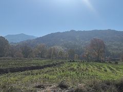 -塔川景区