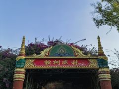 -瑞丽独树成林风景区