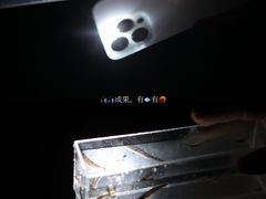 -老虎潭水库