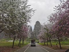 -钟山水墨田园