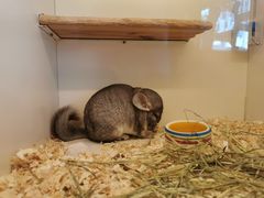 -龙猫仔乐园(惠福东路店)