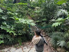 -杭州少年儿童公园