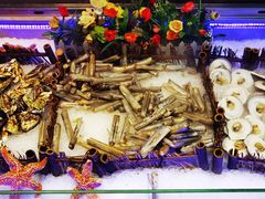 -阳光牧场自助餐厅(宝德购物中心店)