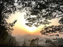 -东莞市大岭山森林公园