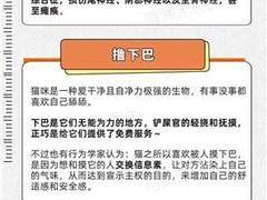 -瑞鹏宠物医院犬猫全科(真大分院)