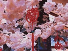 -蓝鲸湾汤泉(包河店)