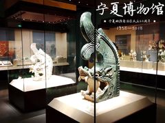 -宁夏博物馆