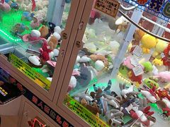 -PAWTOY爪e玩偶店(天兴罗斯福店)