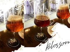 -TAPS精酿啤酒屋