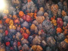 -罗红摄影艺术馆