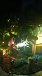 -恐龙探索乐园(磁器口店)