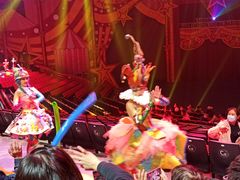 -珠海横琴长隆《卡卡虎奇遇记》