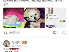 -创凡宠物医院·骨专科  猫科中心(西乡分院)