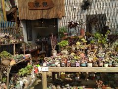 -桂林市花鸟市场