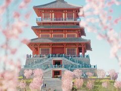 -古柏渡丰乐樱花园