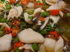 -志明眷村·台式融合菜·宵夜