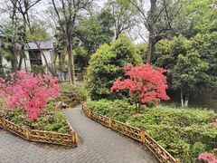 -南京古林公园