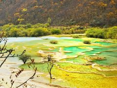 -黄龙山原始森林景区