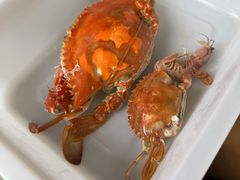 -仙螺岛海鲜自助餐厅(总店)